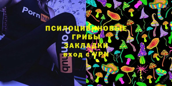 спайс Абаза
