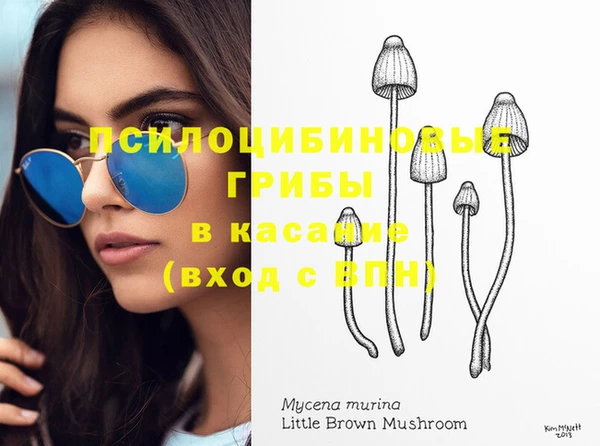 ПСИЛОЦИБИНОВЫЕ ГРИБЫ Абинск