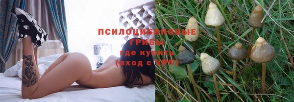 ПСИЛОЦИБИНОВЫЕ ГРИБЫ Абинск