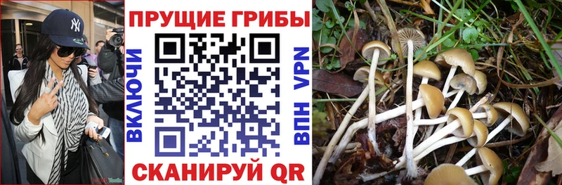 Галлюциногенные грибы GOLDEN TEACHER Иноземцево